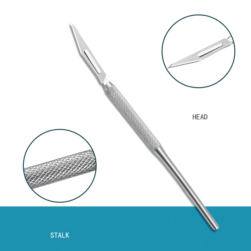 Stainless Steel Dental Scalpel - Surgical Instrument Set avis et prix