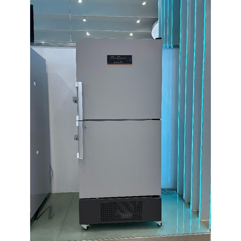 Vertical deep freezer - 25 deg - Medical Lab Degree avis et prix