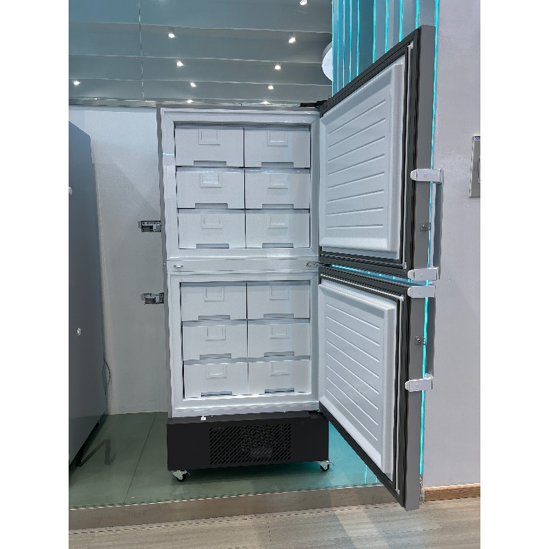 Vertical deep freezer - 25 deg - Medical Lab Degree avis et prix